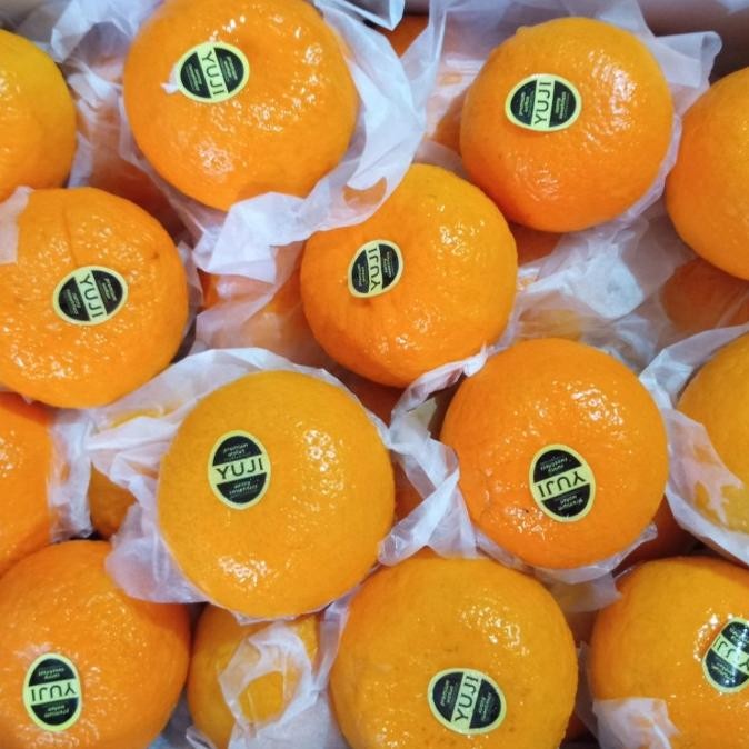 

SALE! JERUK WOKAM YUJI PREMIUM PER 1KG