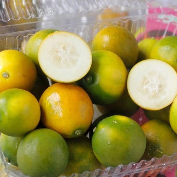 

SALE! JERUK HONEY KIMKIT MANIS BISA DIMAKAN LANGSUNG BERSAMA KULITNYA