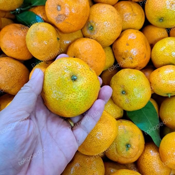 

SALE! JERUK SHANTANG BIRMA MANIS PROMO SPESIAL 1 KG