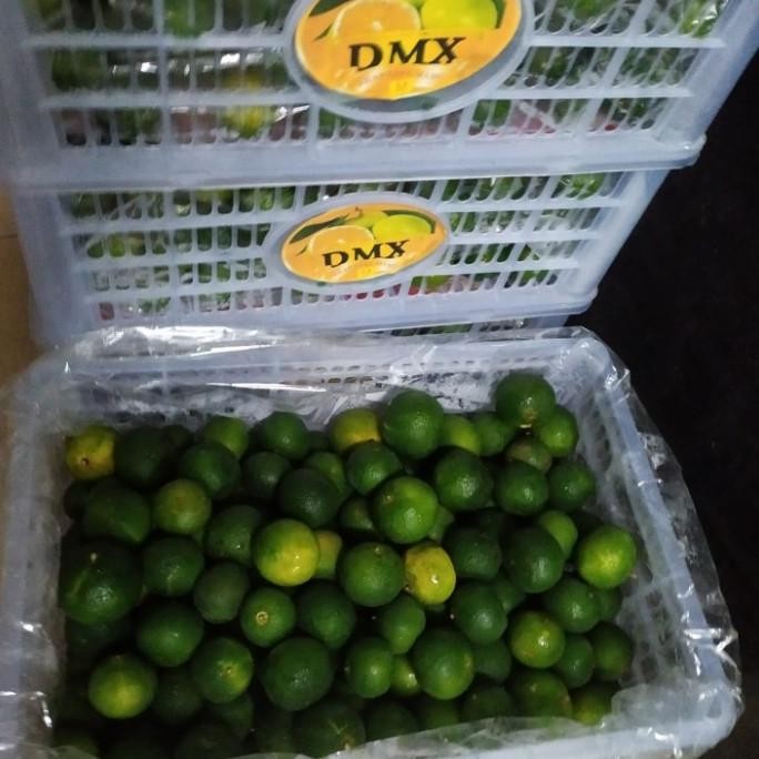 

SALE! BUAH JERUK SANTANG MADU GREEN MICHI 1 KG