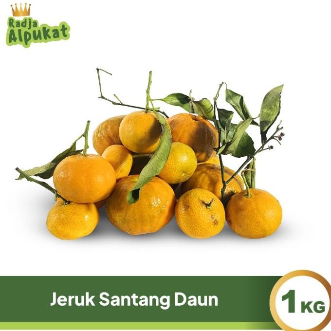 

SALE! JERUK SANTANG DAUN 1KG