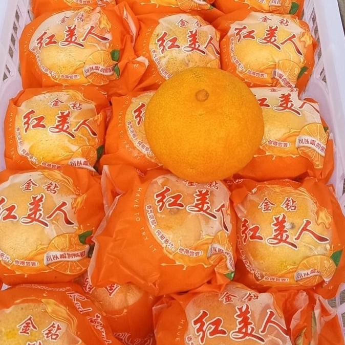 

SALE! JERUK MANDARIN AIYUAN SEEDLESS FRESH IMPORT PER KG