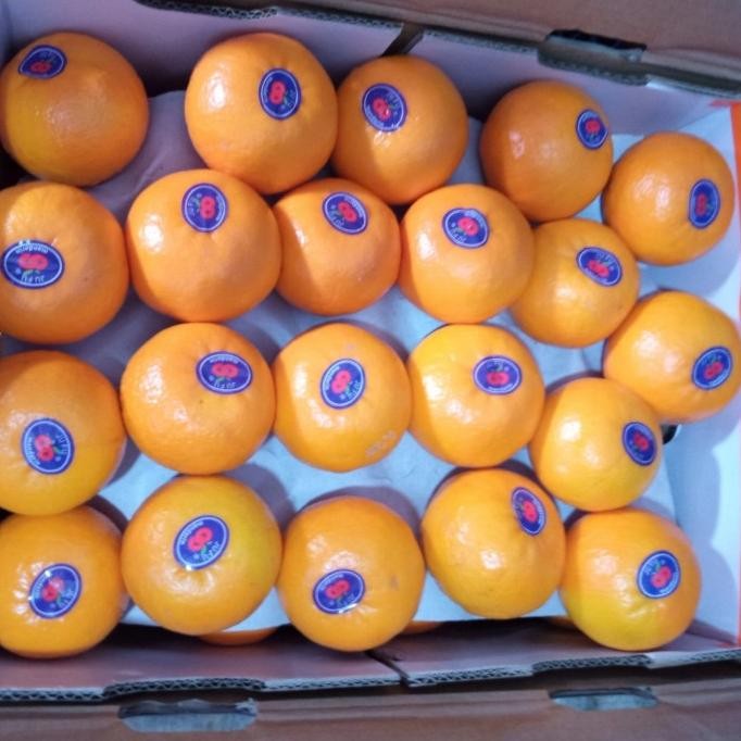 

SALE! JERUK WOGAN/WOKAM FRESH MANIS PER 1 DUS/KRANJANG BERAT 9 KG