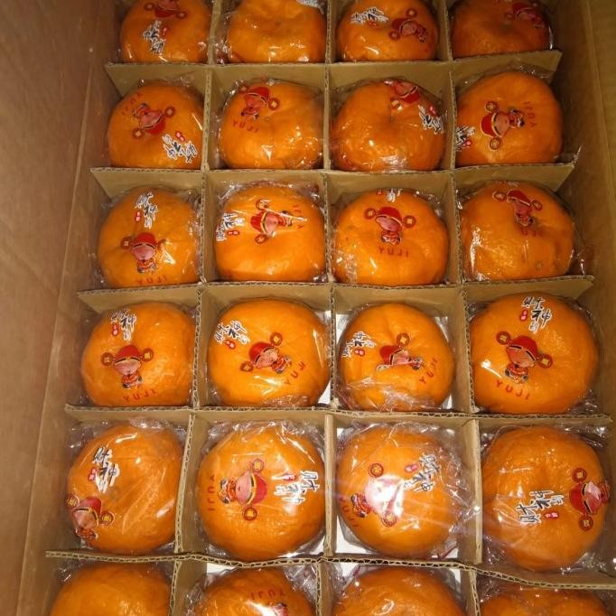 

SALE! BUAH JERUK PONKAM YUJI SUPER FRESH MANIS PER 1 KG
