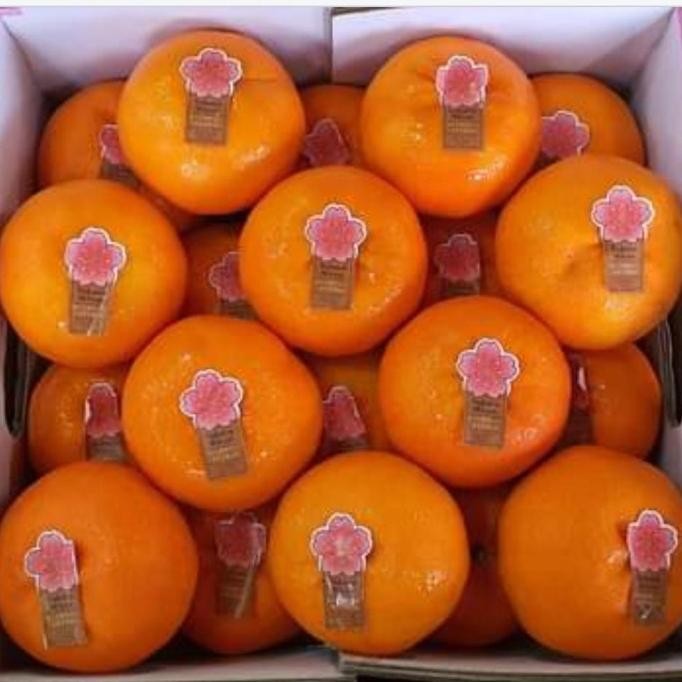 

SALE! JERUK SAKURA MIKAM JEPANG 5.5 KG