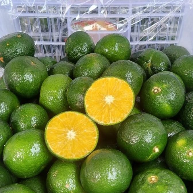 

SALE! JERUK SANTANG MADU MANIS FRESH NON BIJI