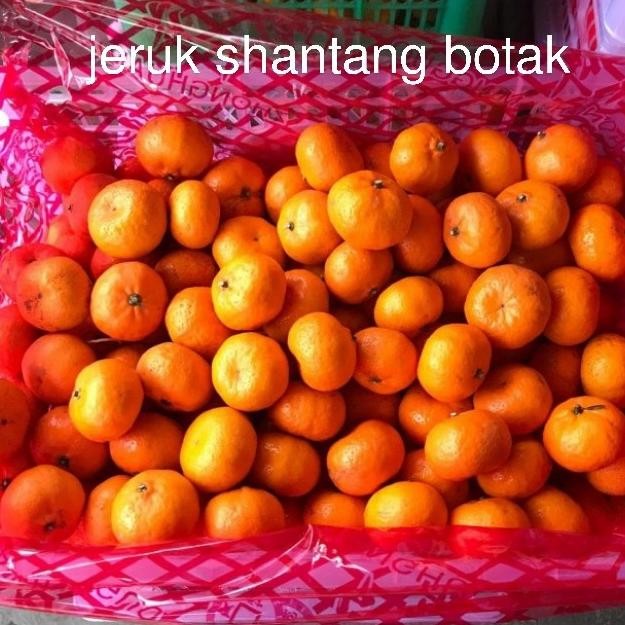 

SALE! JERUK SHANTANG BOTAK FRESH PER 1 KG