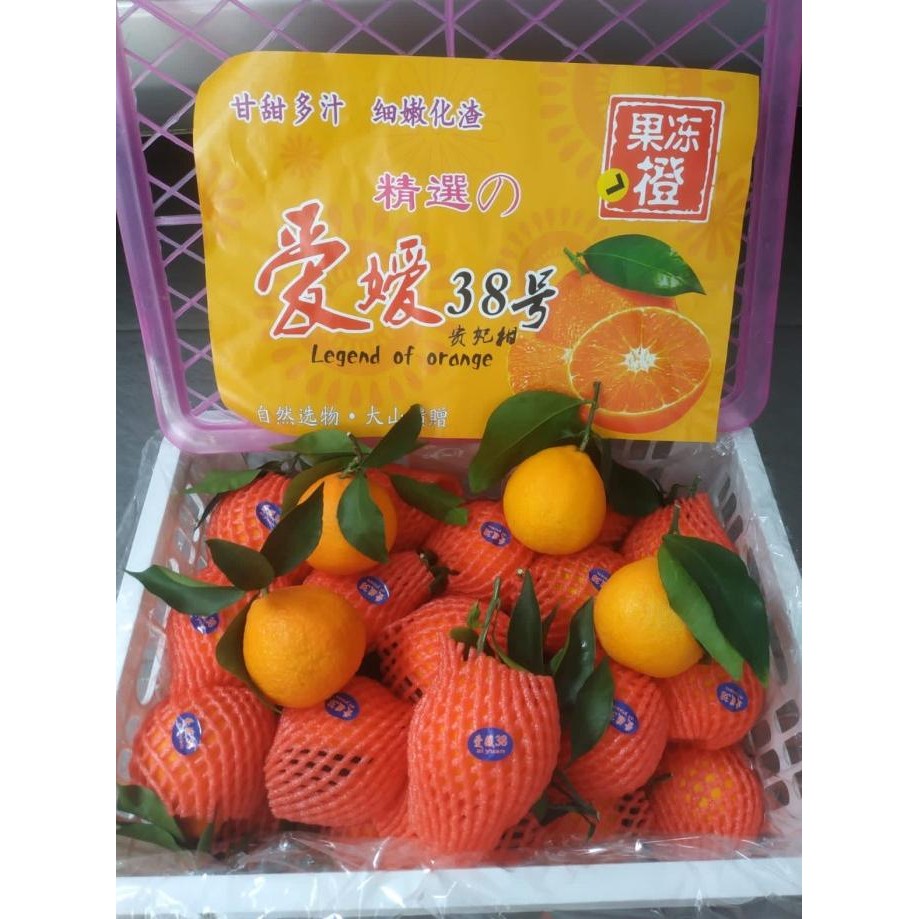

SALE! JERUK AIYEN / AIYUAN (6.5 KG) FRESH IMPORT