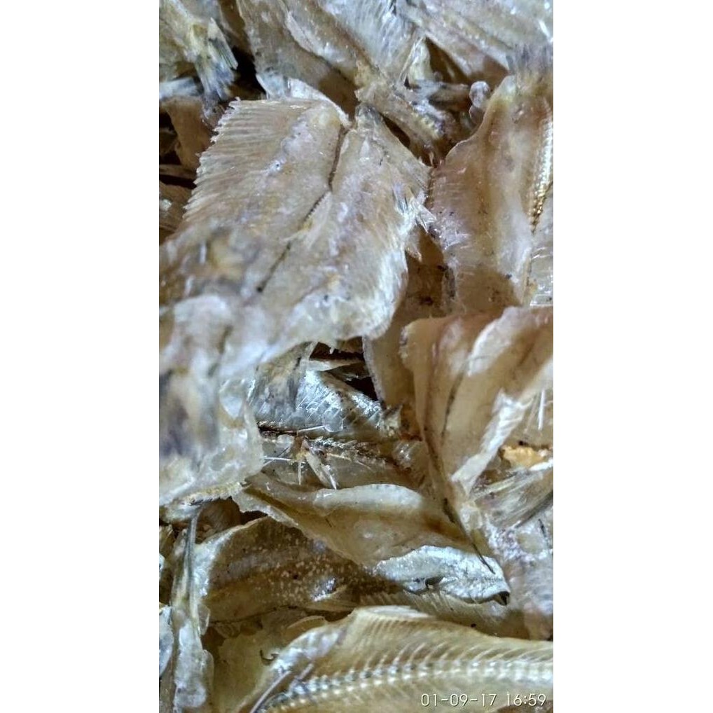 

ori - ikan asin pakang tipis