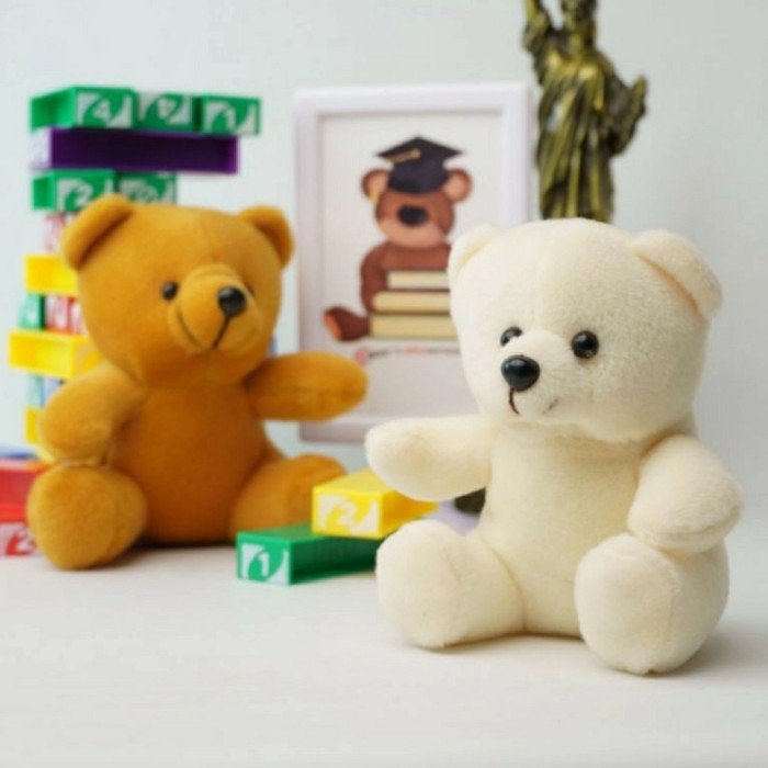 

EXTRA BONEKA/BUKET BUNGA BONEKA/TAMBAHAN BONEKA FOR BUKET/BUKET BONEKA