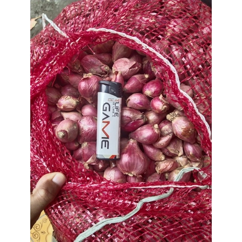 

bawang merah