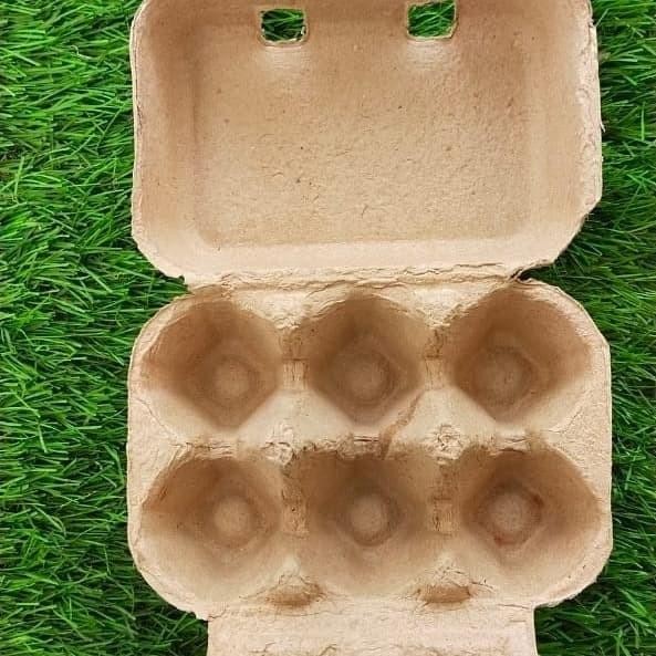 PAPER EGG 6 LUBANG / BOX TELUR KARTON 50 PCS