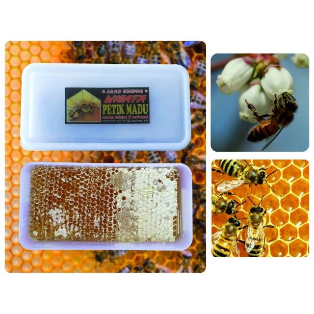 

Madu Arang Honey Comb Freh Honey 500 Gram