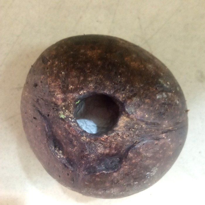 BISA GRAB BARANG ANTIK KELAPA MATA SATU