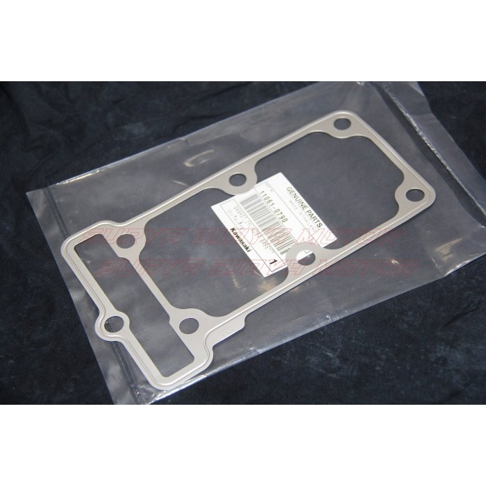 Paking Packing Boring Blok Seher Ninja 250Fi Ninja 250 Fi 11061-0790 Barang Langka