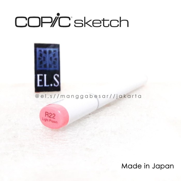 

Copic Sketch Marker R22 ( CSM )