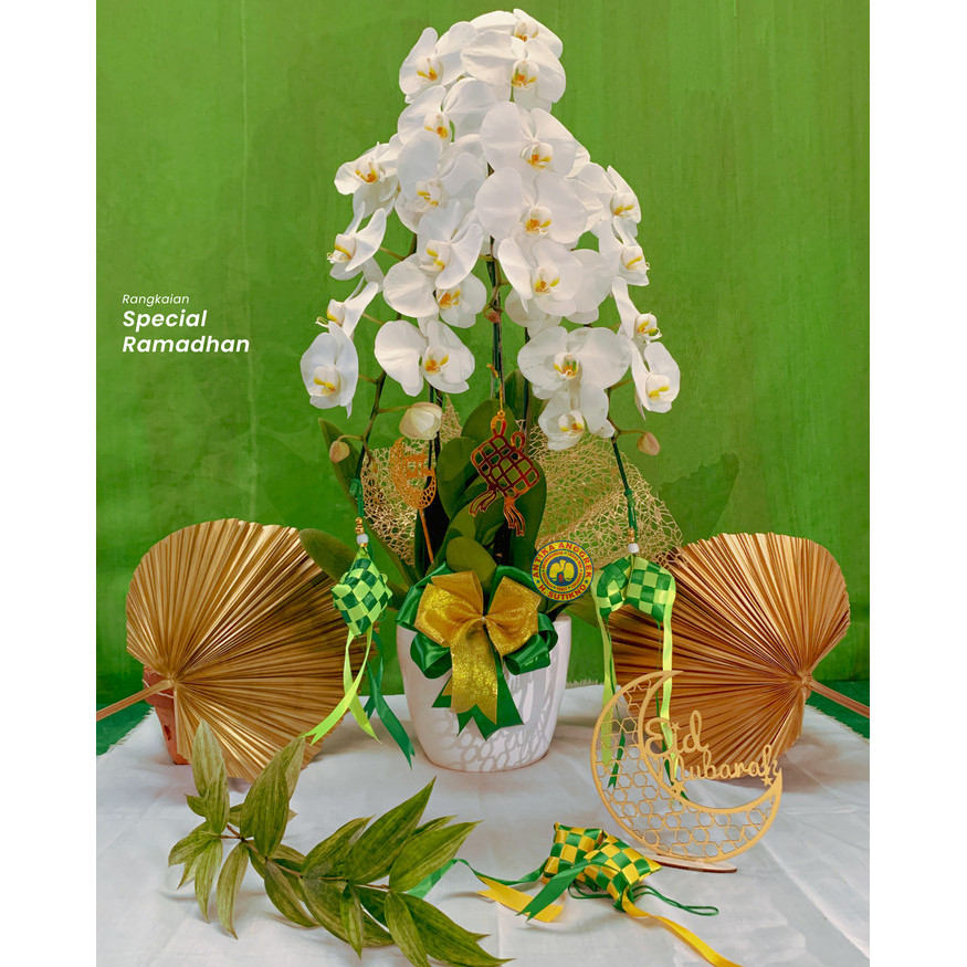 

Hampers Lebaran Idul Fitri Anggrek Bulan Isi 3 + Pot + Pita Dan Kartu Harga Promo