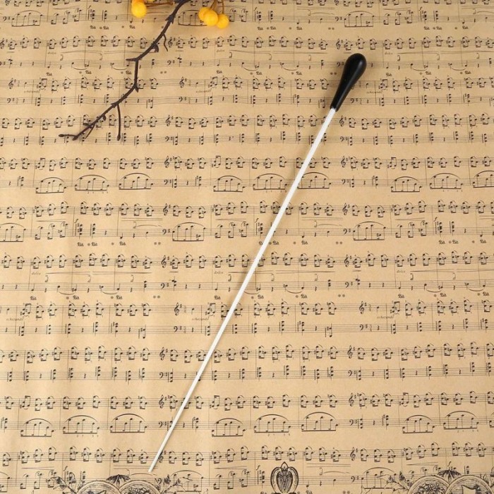 Ready Stock Tongkat Baton Tongkat Dirigen Konduktor Baton Pemimpin Orkes Tongkat Stick Baton