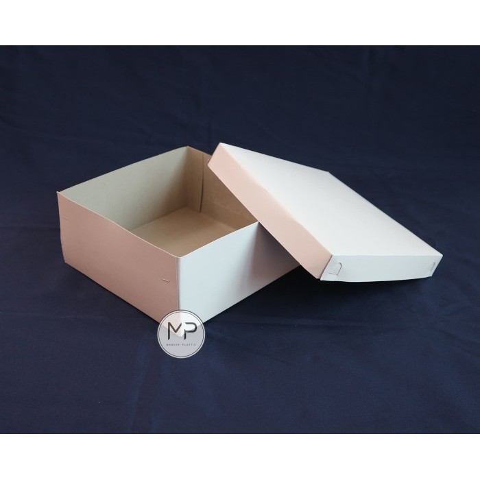 DUS NASI / KOTAK NASI / BOX NASI 22X22CM + MIKA SEKAT 5 - 50PCS