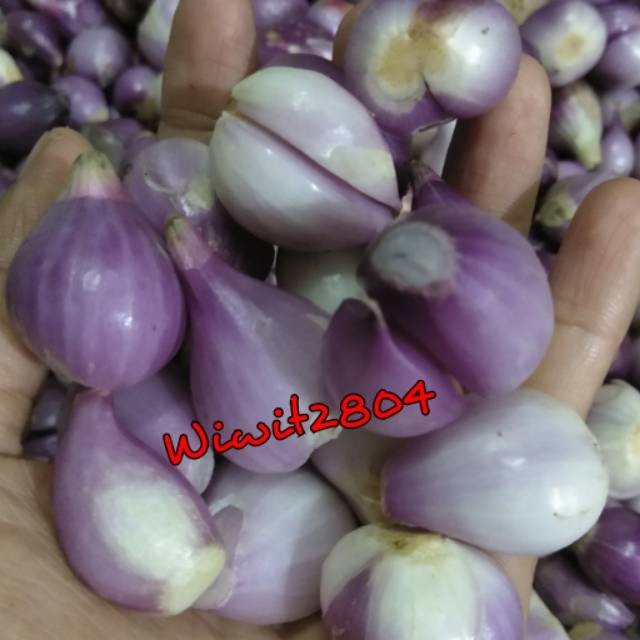 

TERLARIS BAWANG MERAH BREBES KUPAS 1KG MURAH!!! MURAH
