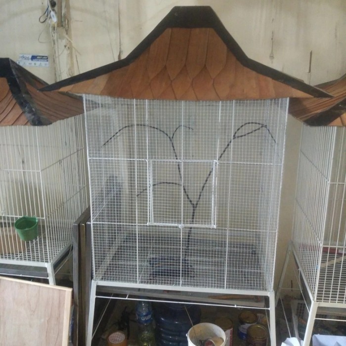 Kandang Burung Lovebird/Kandang Koloni Burung Besar