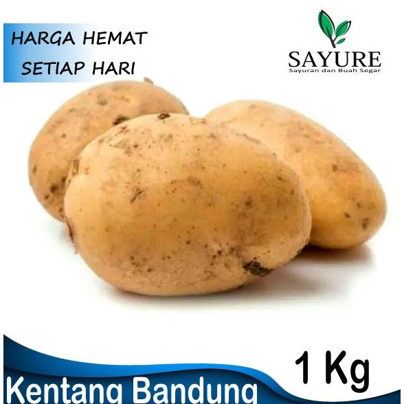 

Kentang Bandung 1 Kg Original