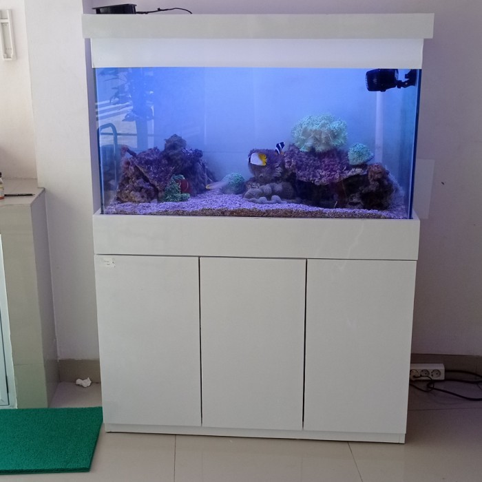 Aquarium Fulset Cabinet / Meja 100cm