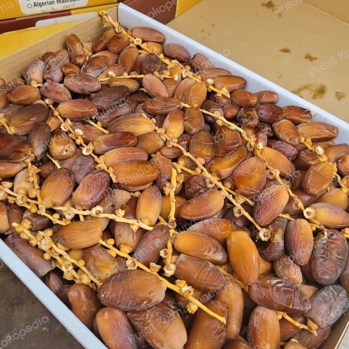 

Kurma tunis tangkai Alger 5 kg-kurma Tunisia - kurma tangkai