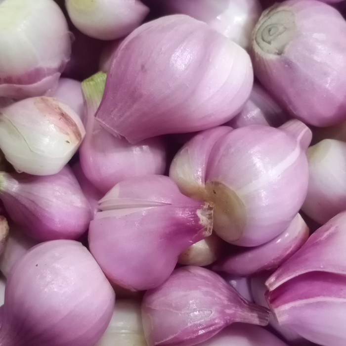 

Promo Bawang Merah Kupas Brebes Super Best Seller