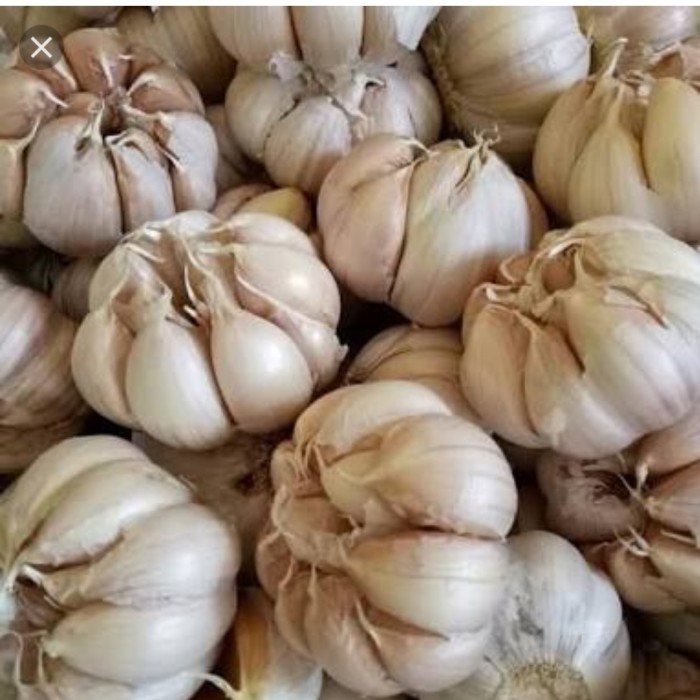 

Promo Bawang Putih 500 Gram Best Seller