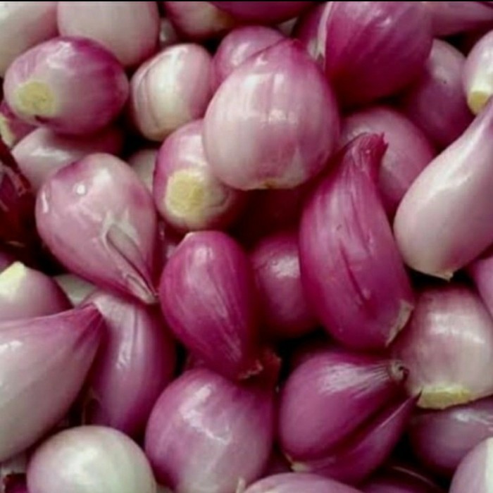

Terbaru Bawang Merah Kupas 250Gr Best Seller