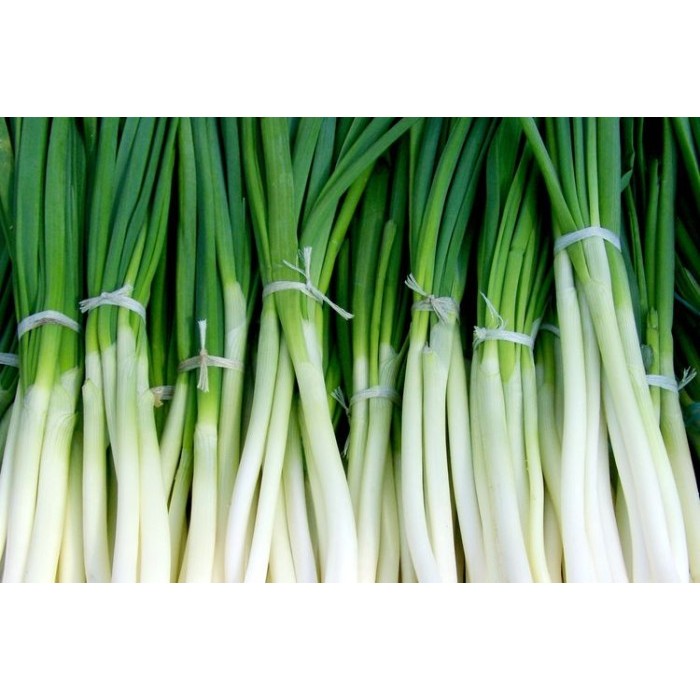 

Promo Daun Bawang Segar 250Gr - 1Kg Fresh Onion Leaf Best Seller