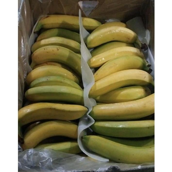 

Indukbuah Buah Pisang Sunpride Size Besar 70 1 Dus 13kg