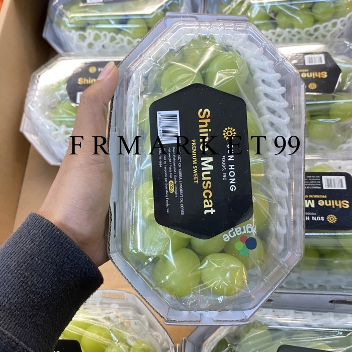 

Anggur Muscat Korea Premium Sweet / Buah Anggur Muscat Korea / 600 grm