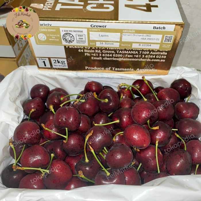 

Cherry merah Tasmanian gold 43 south size 34-36 JUMBO MANIS 2 Kg