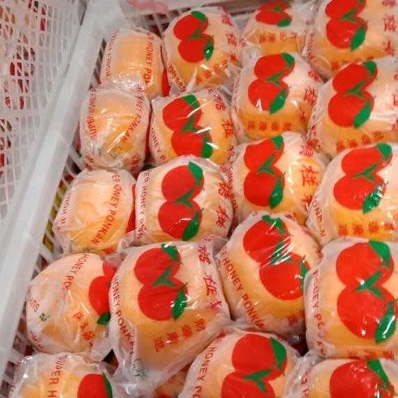 

Sale Buah Jeruk Ponkam / Honey Ponkan Fresh 1 Box
