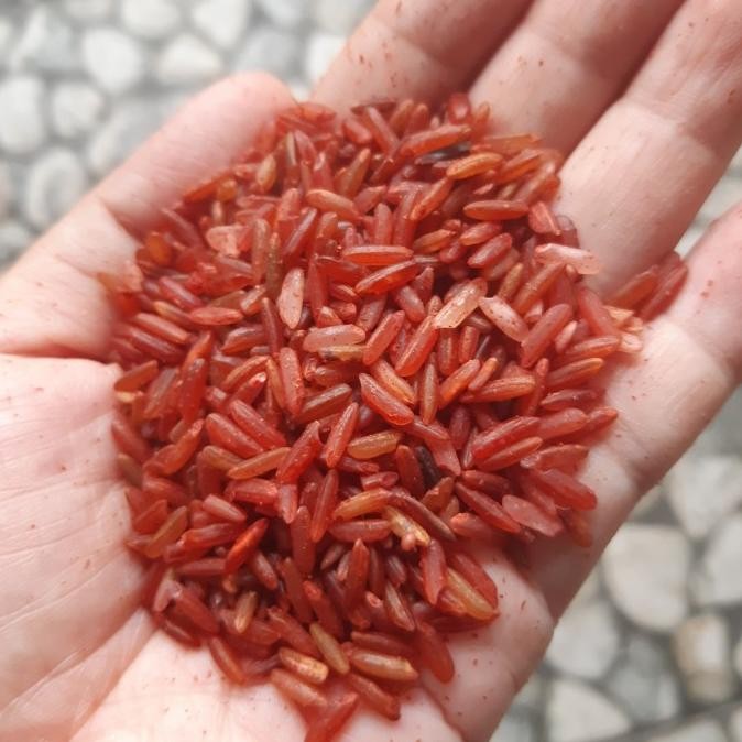 

Beras Merah Sosoh 5 kg Pulen Cocok untuk Diet dan MPASI TD