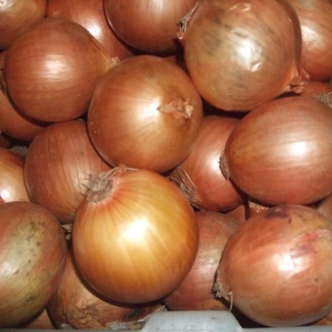 

BAWANG BOMBAI , BOMBAY 1/2 KG ORIGINAL