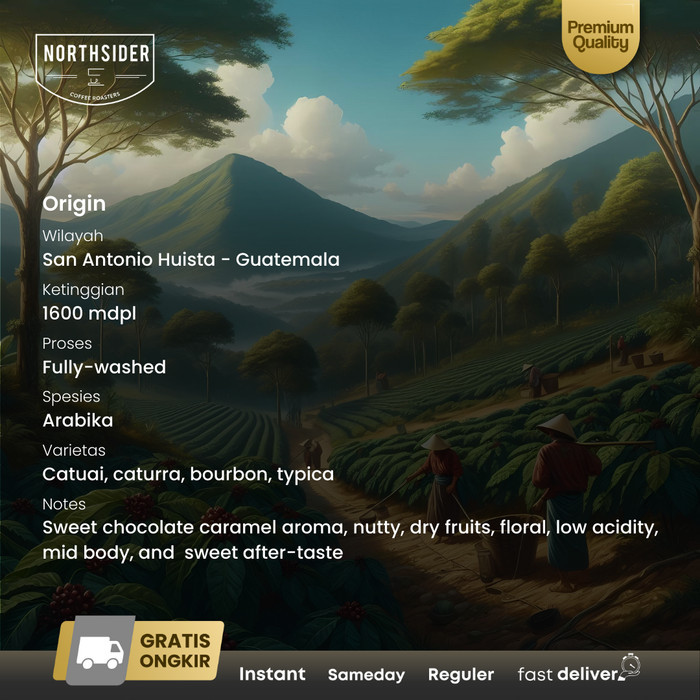 

Northsider Kopi Arabika Guatemala Adiesto Fully-Washed Coffee