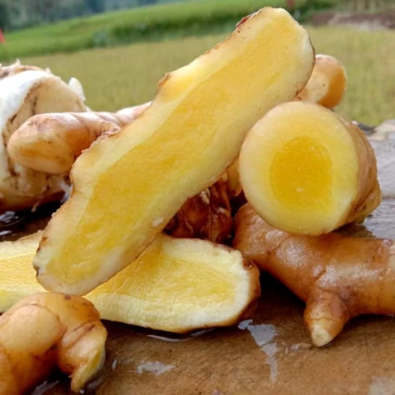 

Ready kunyit putih segar 1kg temu putih asli ori