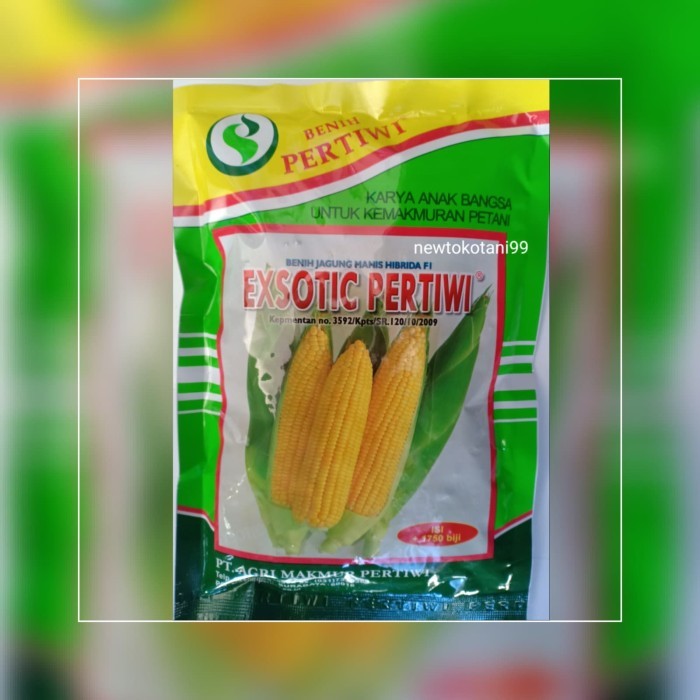 benih bibit jagung manis EXOTIC F1 produksi pertiwi