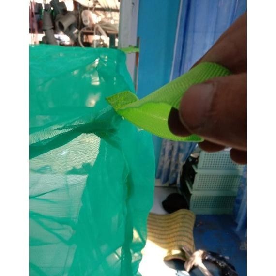 kandang magot bsf 2 x 1 x 2