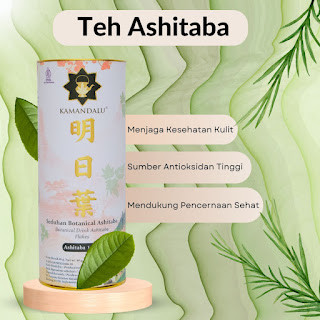 

Ashitaba Green Tea - Meremajakan Sel Tubuh Anda