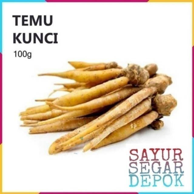 

TEMU KUNCI