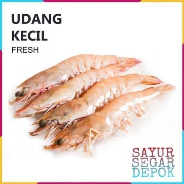 

UDANG KECIL 250 GRAM