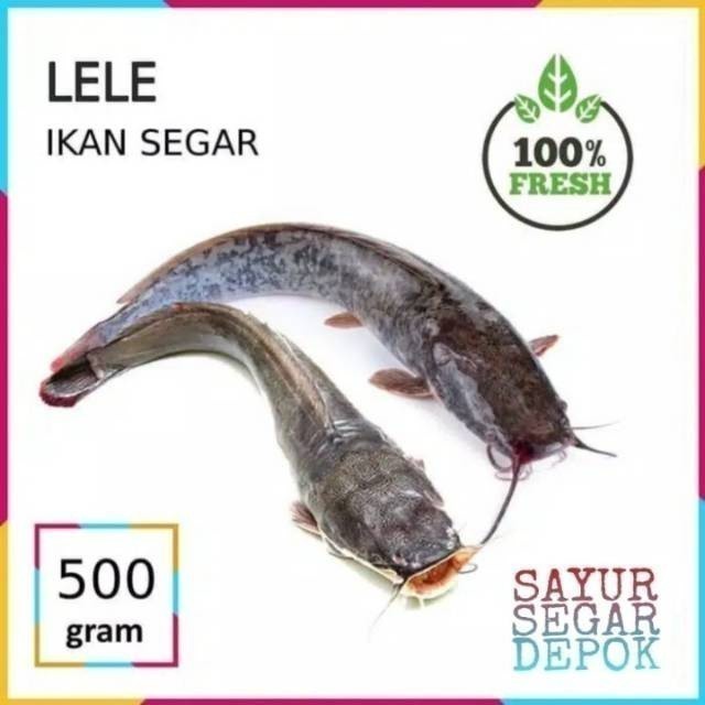 

Ikan lele / sayur segar depok