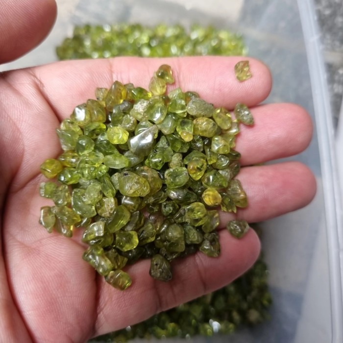 

TERUJI Peridot Olivine Tumbled Chips 5-9mm 100grams HQ