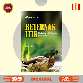 Beternak Itik; Itik Petelur, Itik Pedaging, Itik Hibrida - Lucia Sukini - ORIGINAL