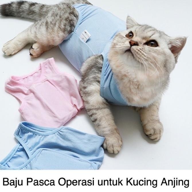 Baju Kucing & Anjing Untuk Recovery/ Baju Steril Kucing Betina / Baju