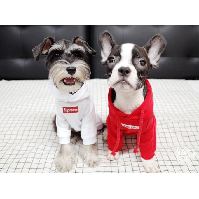 Siap Kirim Baju Anjing Supreme / Hoodie Anjing / Baju Kucing / Hoodie Supreme